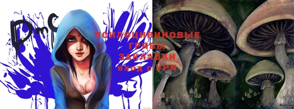 PSILOCYBIN Белоозёрский