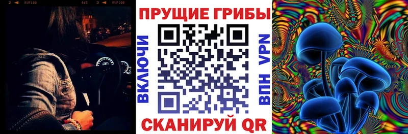 где найти наркотики  Бузулук  маркетплейс состав  Галлюциногенные грибы MAGIC MUSHROOMS 